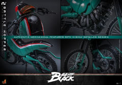 Hottoys《假面骑士Black》1/6 战斗蝗虫-资料图