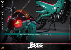 Hottoys《假面骑士Black》1/6 战斗蝗虫-资料图