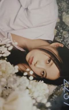 编年史pb明信片7 ver.A