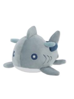 激流浪鲨