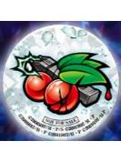 园崎诗音-老 虎 机L 特典吧唧