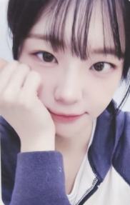 dmm3.0线上cho