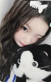 hl5.0升注 猫咪ver.