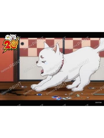 定春-动画回顾相卡(41)