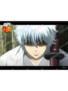 坂田银时7-动画回顾相卡(41)
