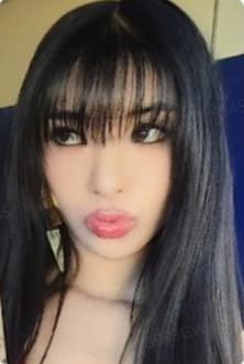 hl 菲