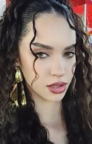 hl 丹