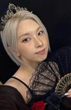 数星星3.0 5 黑玫瑰ver.