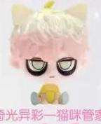 奇光异彩一猫咪管家