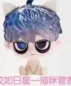 皎如日星一猫咪管家
