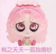 桃之夭夭—孤独婚纱
