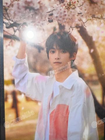 4月公演卡