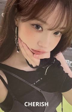 wvs预售 冬