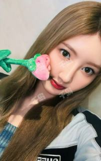 yg线下玫瑰日 蓝 ver.D