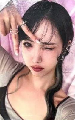 wm预售 飞