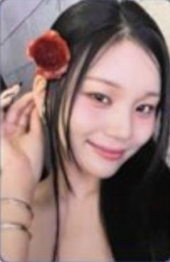 vivid版专卡 飞 ver.B