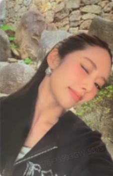 digi版专卡2 ver.D