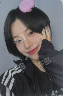 wm1.0 志 线下ver.