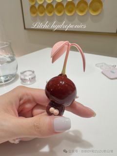 荔枝水培-资料图