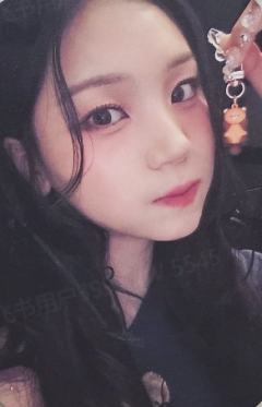 wf预售 智