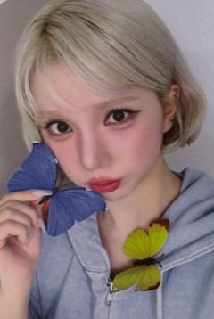 ms1.0河 线上蝴蝶ver.