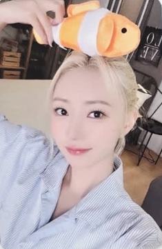 gu2.0唰 ver.A
