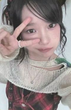 二期会员礼 ver.D