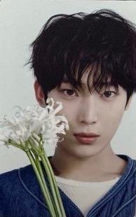 初回限定B盘专卡5 ver.A