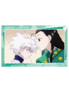 伊尔迷·揍敌客&奇犽·揍敌客-上海快闪限定收藏相卡A池
