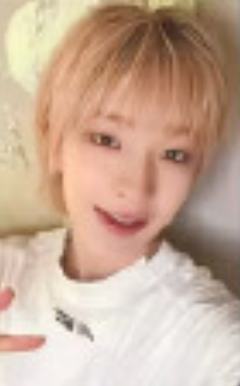 ms幸运卡2.0 2 ver.B