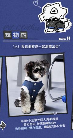 H-宠物衣-牛仔款-资料图