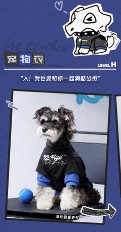 H-宠物衣-卫衣款-资料图