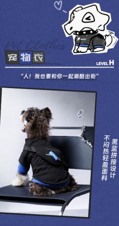 H-宠物衣-卫衣款-资料图