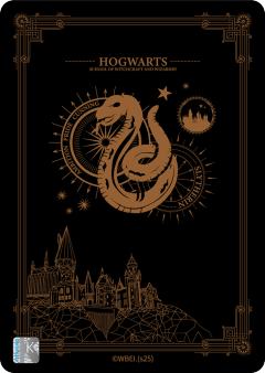 Draco Malfoy-资料图