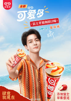 可爱多代言周边