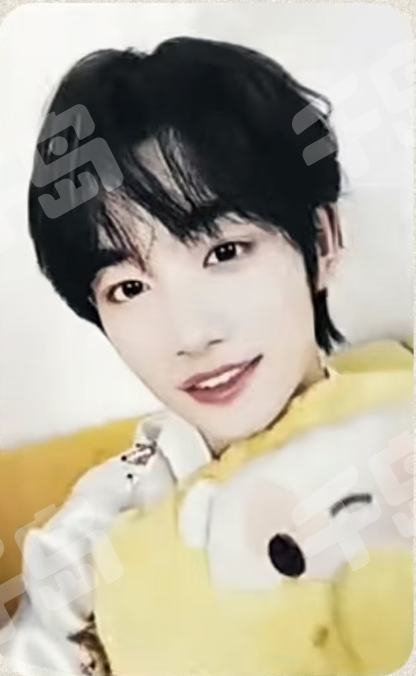 棉花娃娃3.0 6 ver.A | 时代少年团- 严浩翔- 周边卡- 棉花娃娃动物系列