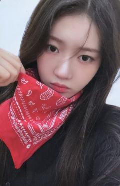 BANDANA版专卡 茶 ver.A