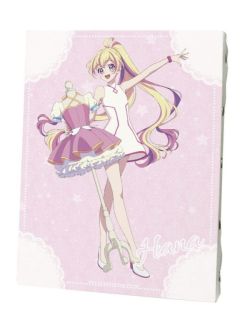 音羽舞樱-大衣装展画布板