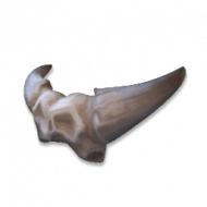 超自然行动组-0