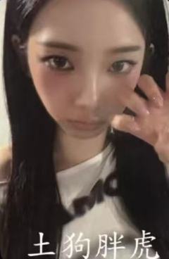 el签售 柚