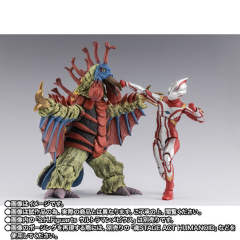 SHF 巴顿-资料图