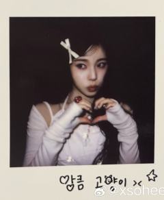 三期会员礼拍立得7