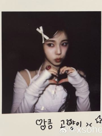 三期会员礼拍立得7