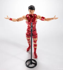 SHF T.M.Revolution RED HOT LIMITED EDITION-资料图