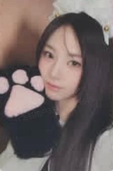am10.0 4 小猫ver.