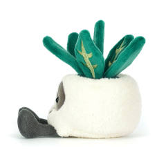Amuseables Skull Planter-资料图