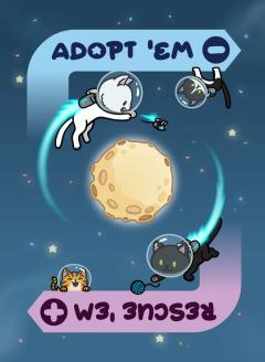 太空中的小猫-资料图