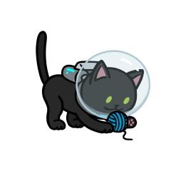 太空中的小猫-资料图