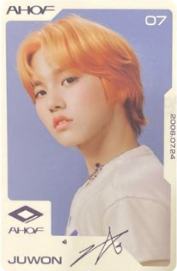 pb版专卡 元 ver.B