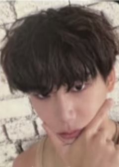 24年韩国打歌卡线下ver.F